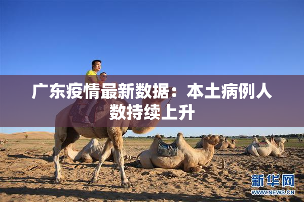 广东疫情最新数据：本土病例人数持续上升