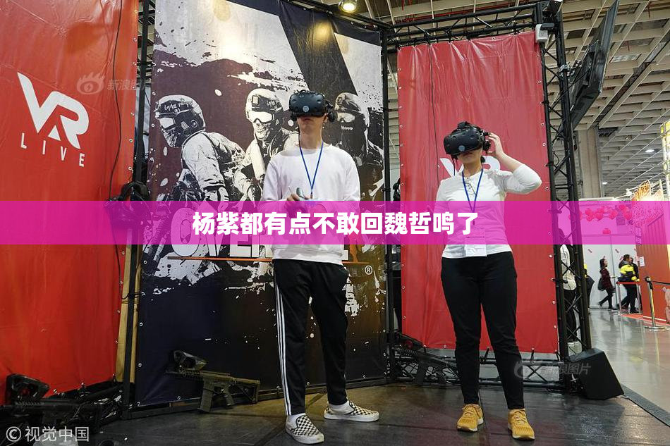 杨紫都有点不敢回魏哲鸣了
