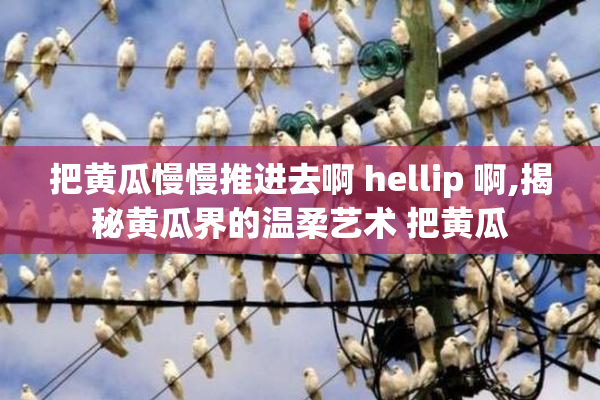 把黄瓜慢慢推进去啊 hellip 啊,揭秘黄瓜界的温柔艺术 把黄瓜