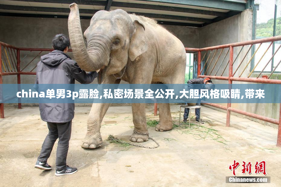 china单男3p露脸,私密场景全公开,大胆风格吸睛,带来