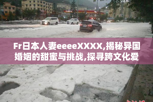 Fr日本人妻eeeeXXXX,揭秘异国婚姻的甜蜜与挑战,探寻跨文化爱情的