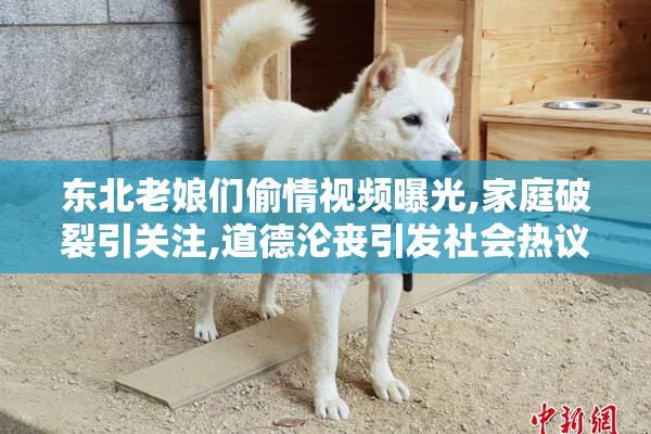 东北老娘们偷情视频曝光,家庭破裂引关注,道德沦丧引发社会热议