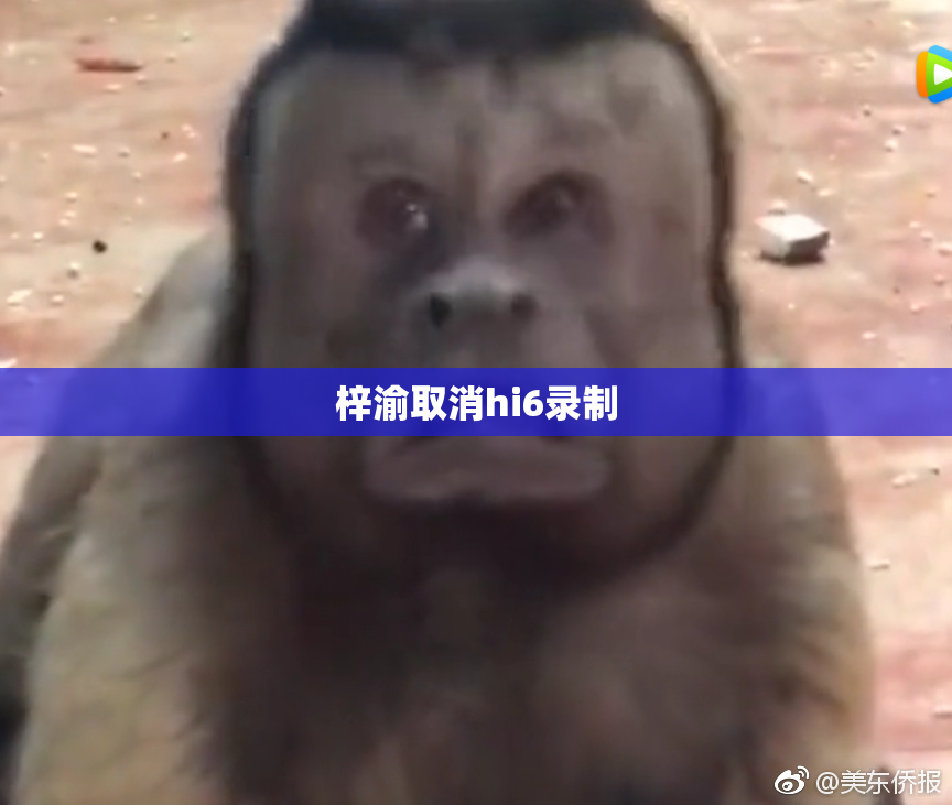 梓渝取消hi6录制