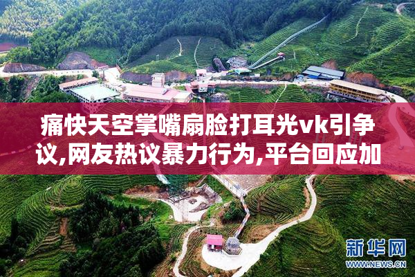 痛快天空掌嘴扇脸打耳光vk引争议,网友热议暴力行为,平台回应加强