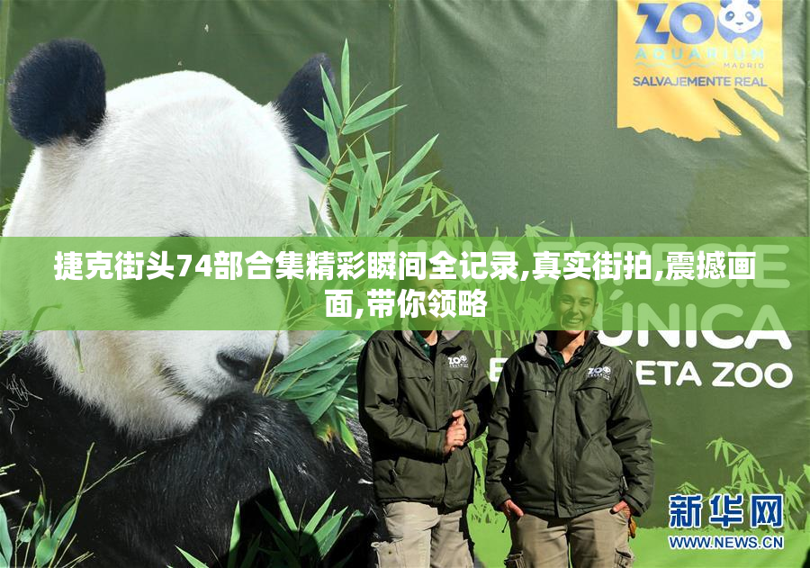 捷克街头74部合集精彩瞬间全记录,真实街拍,震撼画面,带你领略