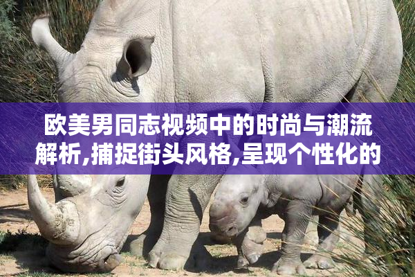 欧美男同志视频中的时尚与潮流解析,捕捉街头风格,呈现个性化的