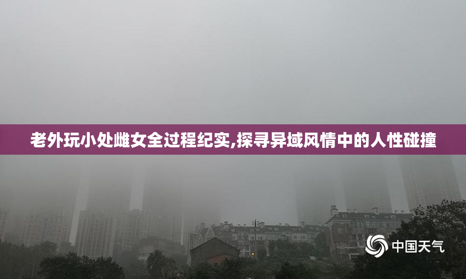 老外玩小处雌女全过程纪实,探寻异域风情中的人性碰撞