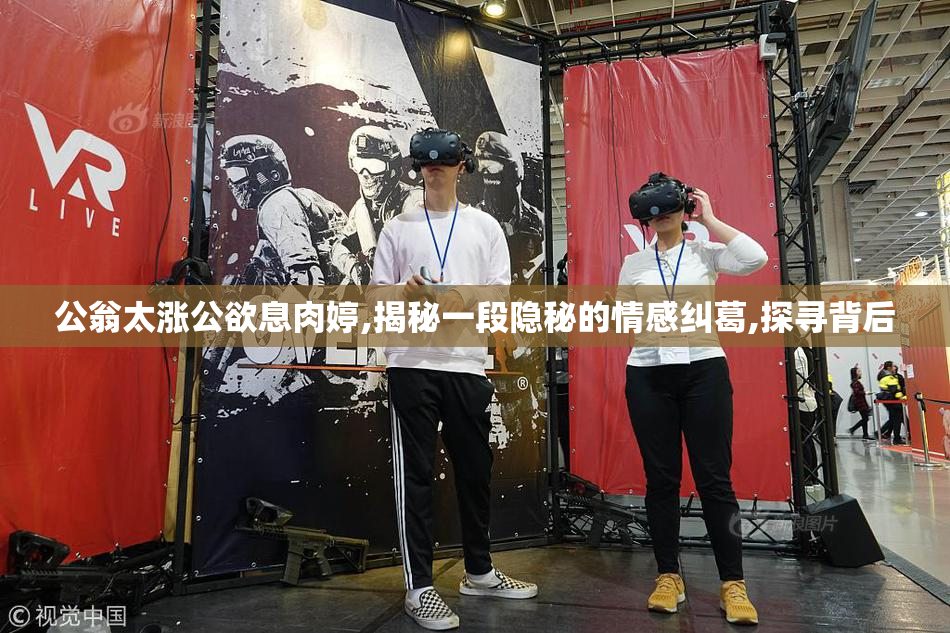 公翁太涨公欲息肉婷,揭秘一段隐秘的情感纠葛,探寻背后