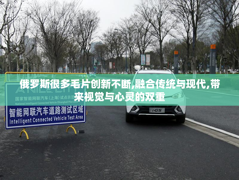 俄罗斯很多毛片创新不断,融合传统与现代,带来视觉与心灵的双重