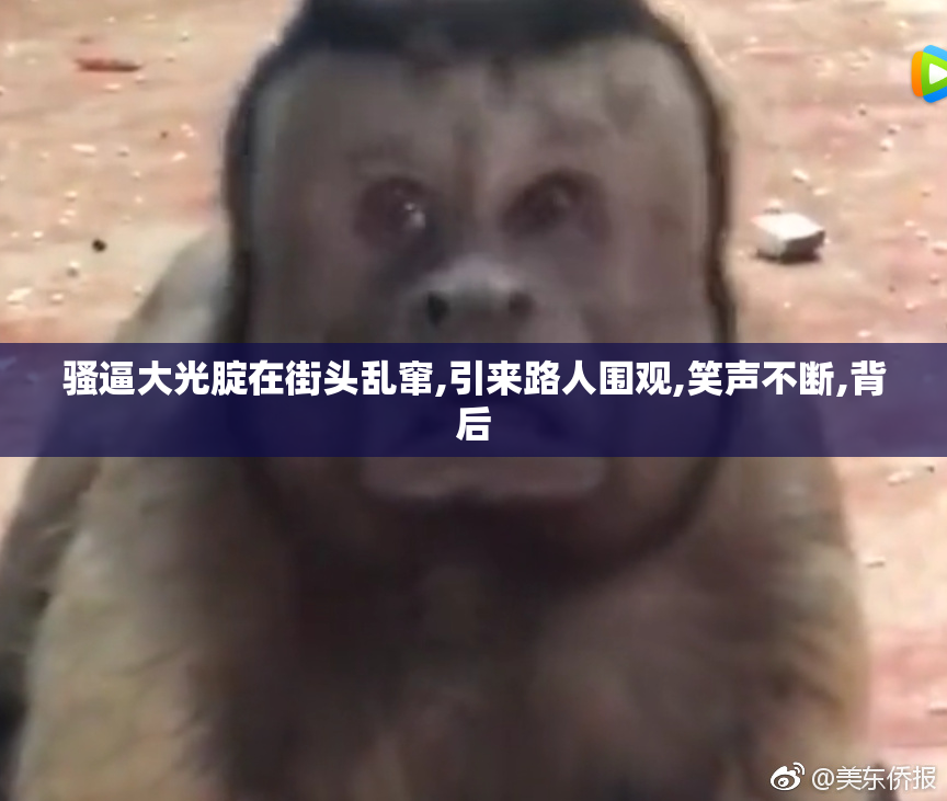 骚逼大光腚在街头乱窜,引来路人围观,笑声不断,背后