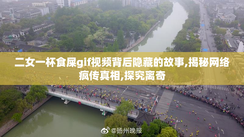 二女一杯食屎gif视频背后隐藏的故事,揭秘网络疯传真相,探究离奇
