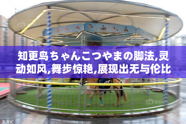 知更鸟ちゃんこつやまの脚法,灵动如风,舞步惊艳,展现出无与伦比的