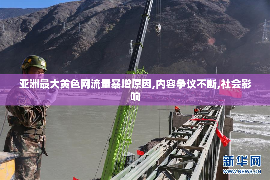 亚洲最大黄色网流量暴增原因,内容争议不断,社会影响
