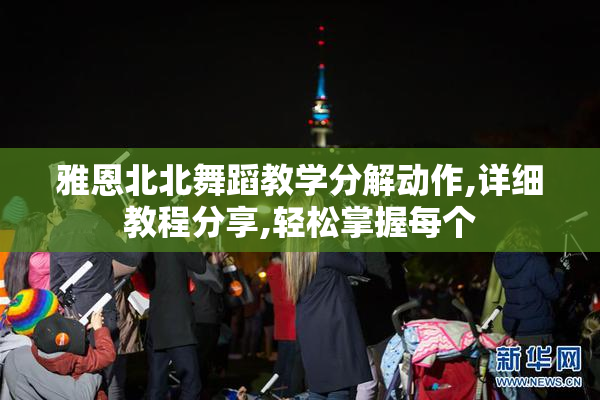 雅恩北北舞蹈教学分解动作,详细教程分享,轻松掌握每个