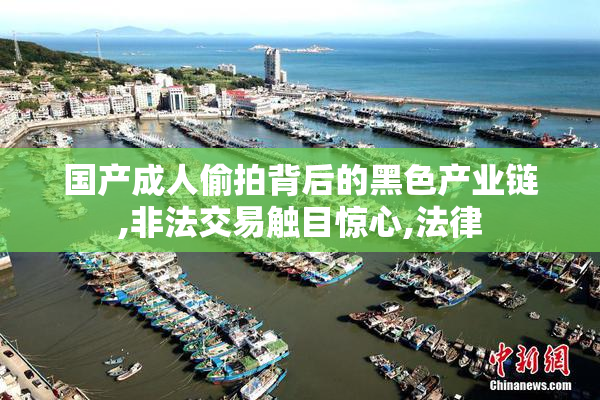 国产成人偷拍背后的黑色产业链,非法交易触目惊心,法律
