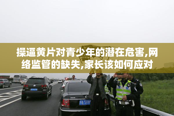 操逼黄片对青少年的潜在危害,网络监管的缺失,家长该如何应对