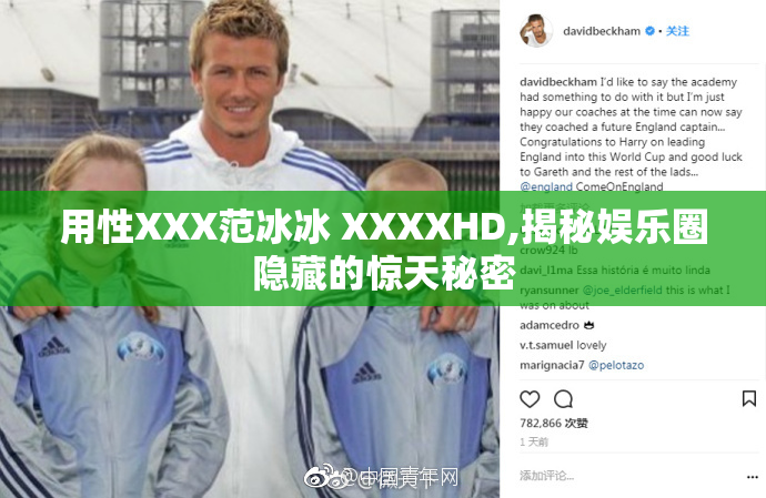 用性XXX范冰冰 XXXXHD,揭秘娱乐圈隐藏的惊天秘密