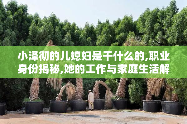 小泽彻的儿媳妇是干什么的,职业身份揭秘,她的工作与家庭生活解析