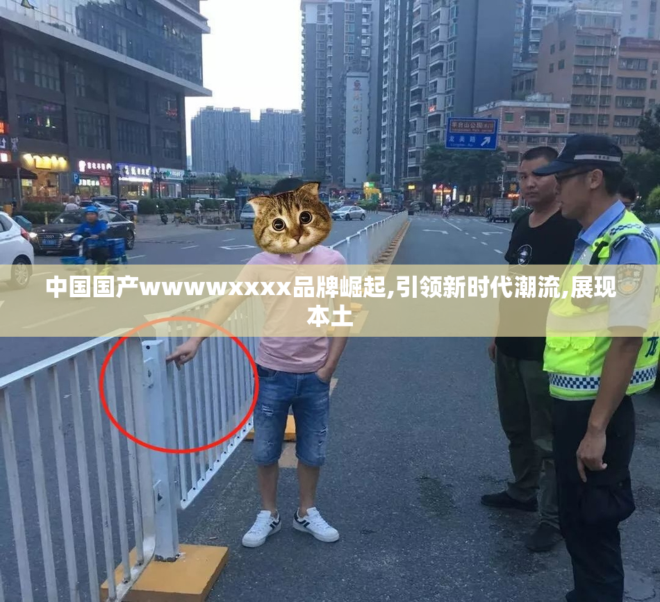 中国国产wwwwxxxx品牌崛起,引领新时代潮流,展现本土