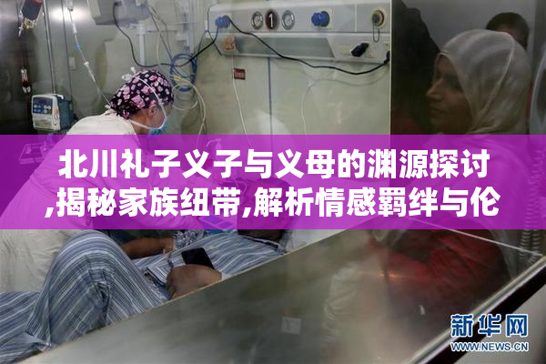 北川礼子义子与义母的渊源探讨,揭秘家族纽带,解析情感羁绊与伦理