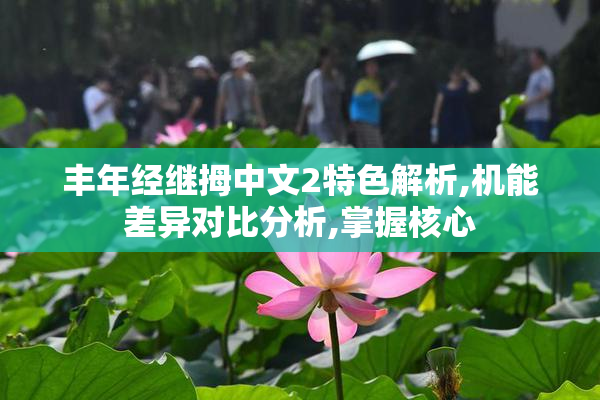 丰年经继拇中文2特色解析,机能差异对比分析,掌握核心