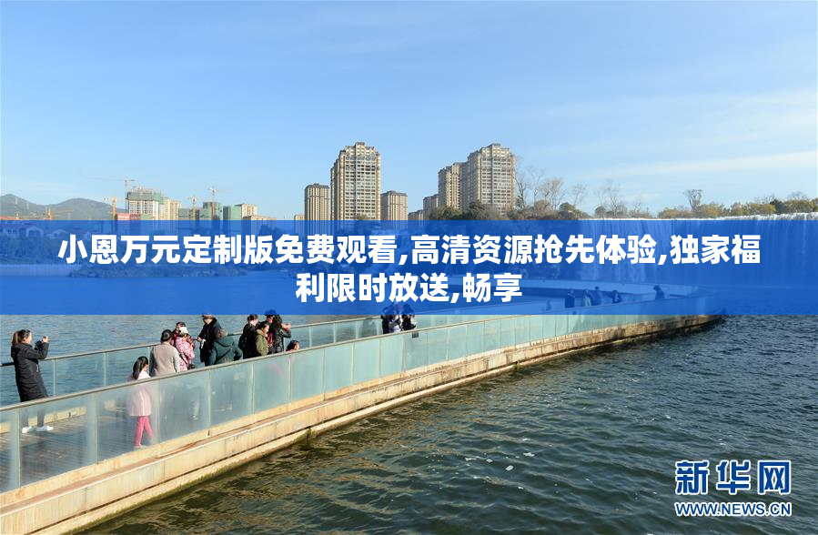 小恩万元定制版免费观看,高清资源抢先体验,独家福利限时放送,畅享