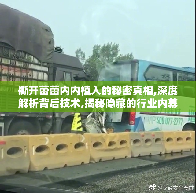 撕开蕾蕾内内植入的秘密真相,深度解析背后技术,揭秘隐藏的行业内幕
