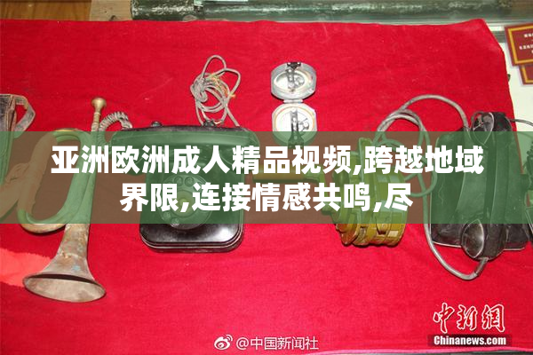 亚洲欧洲成人精品视频,跨越地域界限,连接情感共鸣,尽