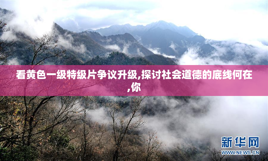 看黄色一级特级片争议升级,探讨社会道德的底线何在,你