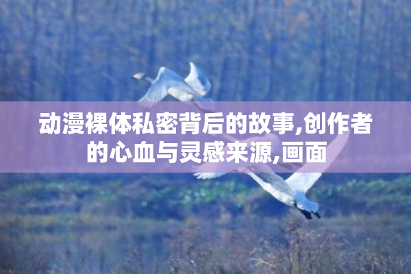 动漫裸体私密背后的故事,创作者的心血与灵感来源,画面