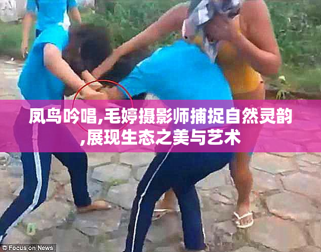 凤鸟吟唱,毛婷摄影师捕捉自然灵韵,展现生态之美与艺术