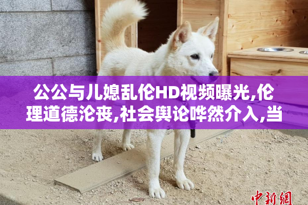 公公与儿媳乱伦HD视频曝光,伦理道德沦丧,社会舆论哗然介入,当事人