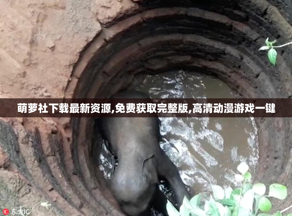 萌萝社下载最新资源,免费获取完整版,高清动漫游戏一键