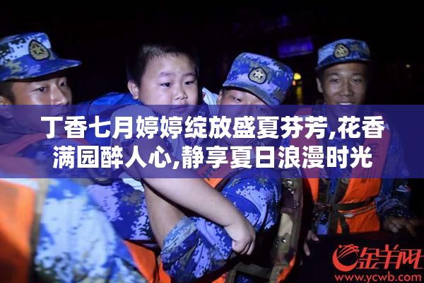 丁香七月婷婷绽放盛夏芬芳,花香满园醉人心,静享夏日浪漫时光