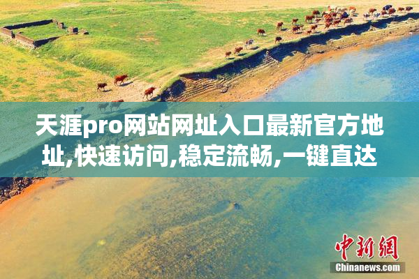 天涯pro网站网址入口最新官方地址,快速访问,稳定流畅,一键直达官网