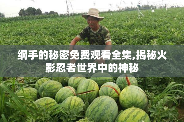 纲手的秘密免费观看全集,揭秘火影忍者世界中的神秘