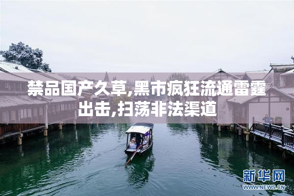 禁品国产久草,黑市疯狂流通雷霆出击,扫荡非法渠道