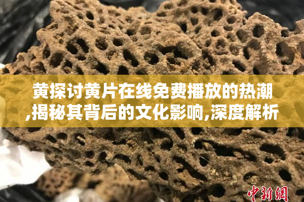 黄探讨黄片在线免费播放的热潮,揭秘其背后的文化影响,深度解析