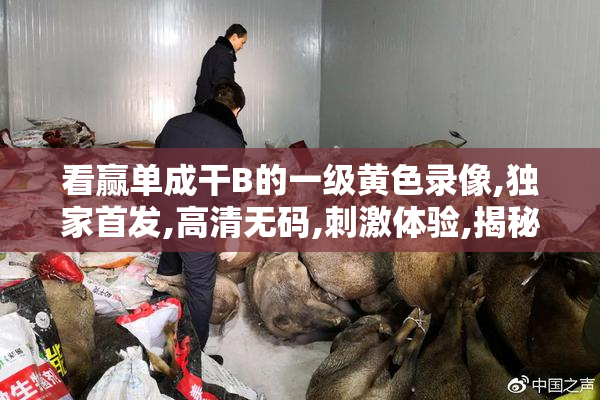 看赢单成干B的一级黄色录像,独家首发,高清无码,刺激体验,揭秘私密