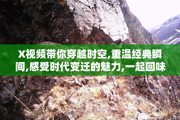 X视频带你穿越时空,重温经典瞬间,感受时代变迁的魅力,一起回味