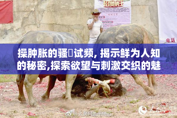 操肿胀的骚屄试频, 揭示鲜为人知的秘密,探索欲望与刺激交织的魅力