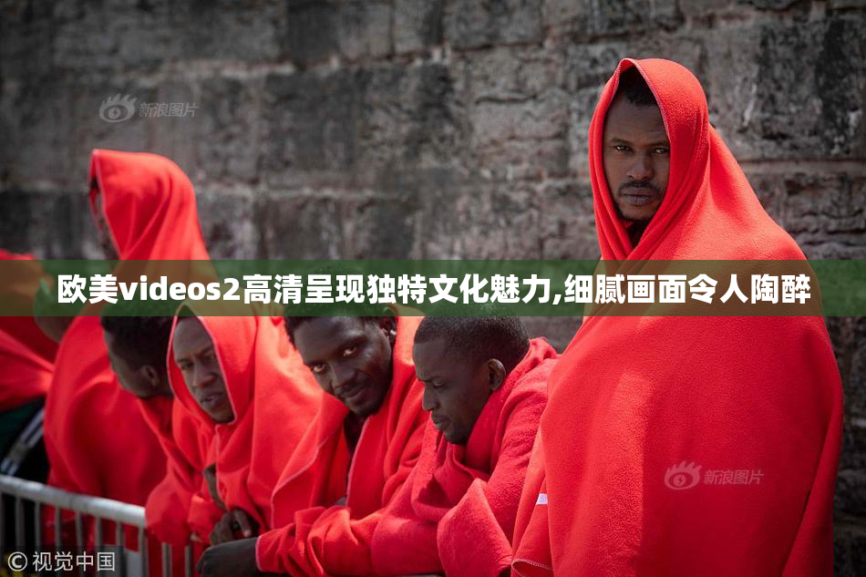欧美videos2高清呈现独特文化魅力,细腻画面令人陶醉