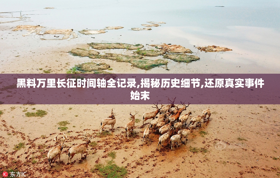 黑料万里长征时间轴全记录,揭秘历史细节,还原真实事件始末