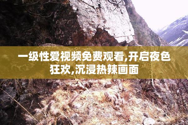 一级性爱视频免费观看,开启夜色狂欢,沉浸热辣画面