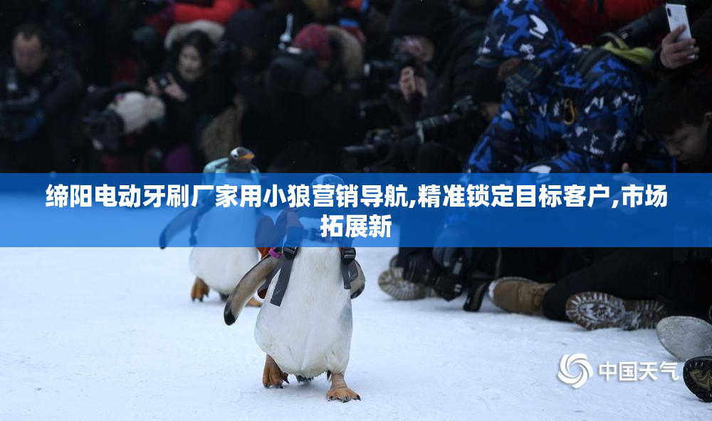 缔阳电动牙刷厂家用小狼营销导航,精准锁定目标客户,市场拓展新