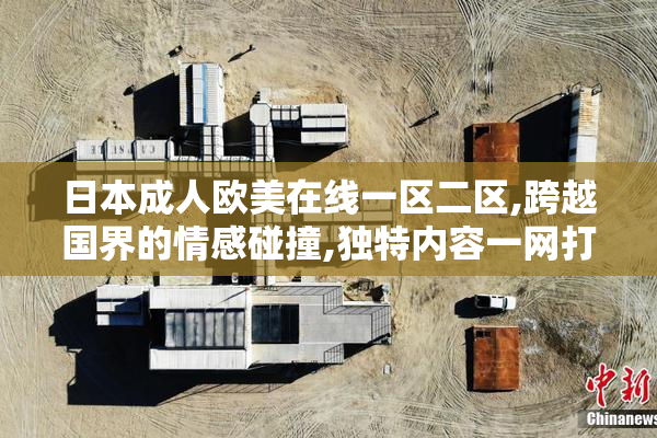 日本成人欧美在线一区二区,跨越国界的情感碰撞,独特内容一网打尽