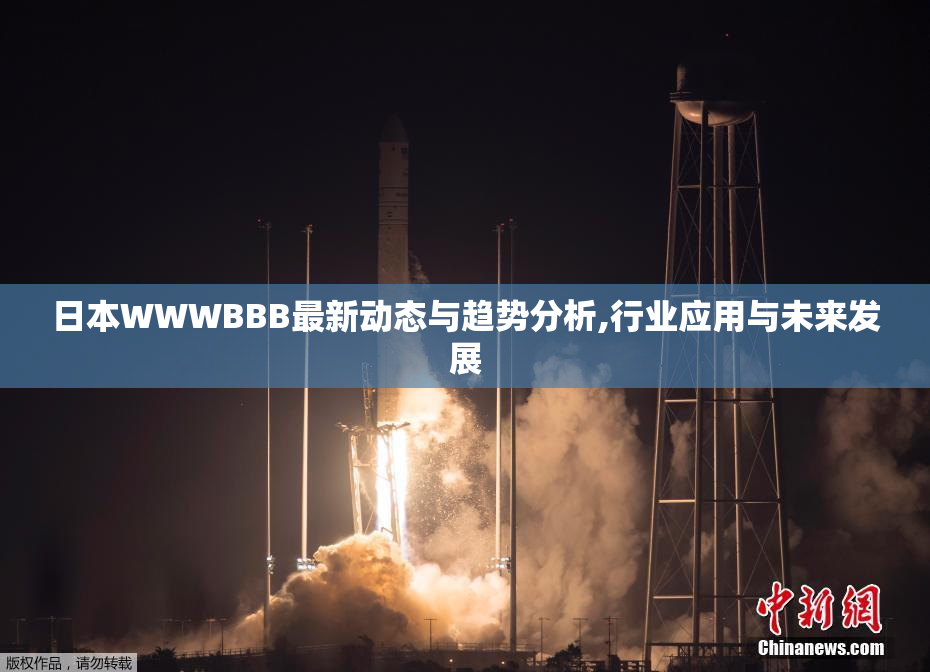 日本WWWBBB最新动态与趋势分析,行业应用与未来发展