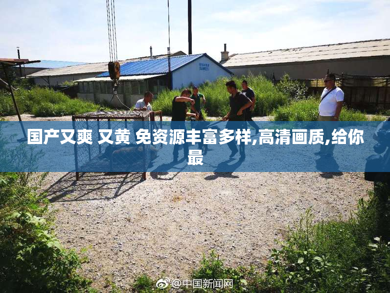国产又爽 又黄 免资源丰富多样,高清画质,给你最