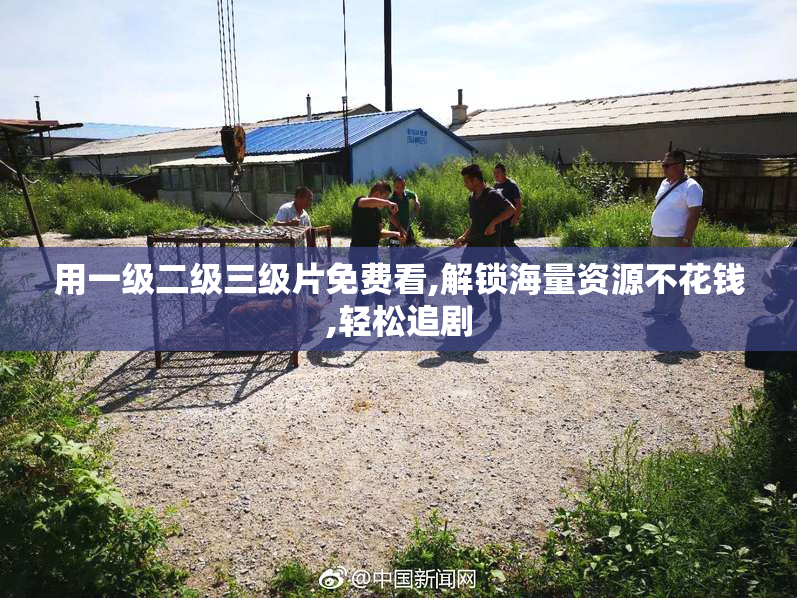 用一级二级三级片免费看,解锁海量资源不花钱,轻松追剧