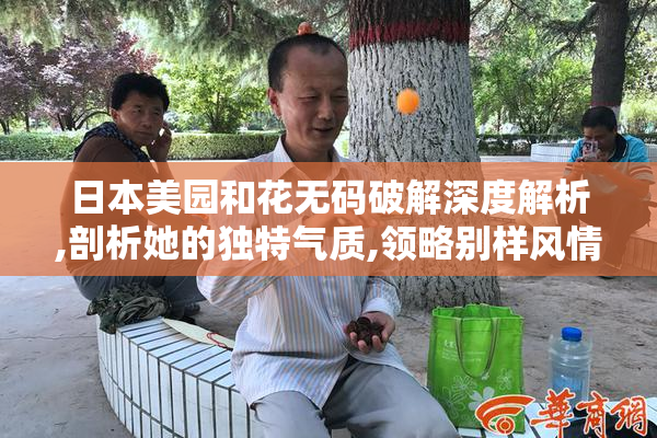 日本美园和花无码破解深度解析,剖析她的独特气质,领略别样风情与